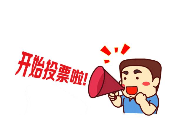 真人投票怎么收费,人工投票平台-点赞投票平台