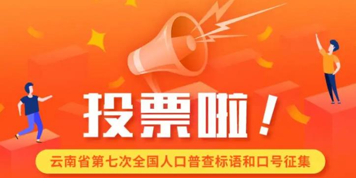 真人投票什么价格,人工投票排名人工投票怎么做