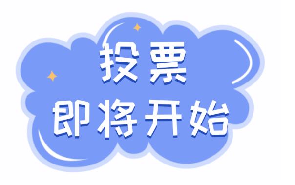 投票自助下单平台网站，人工投票多少钱一票？