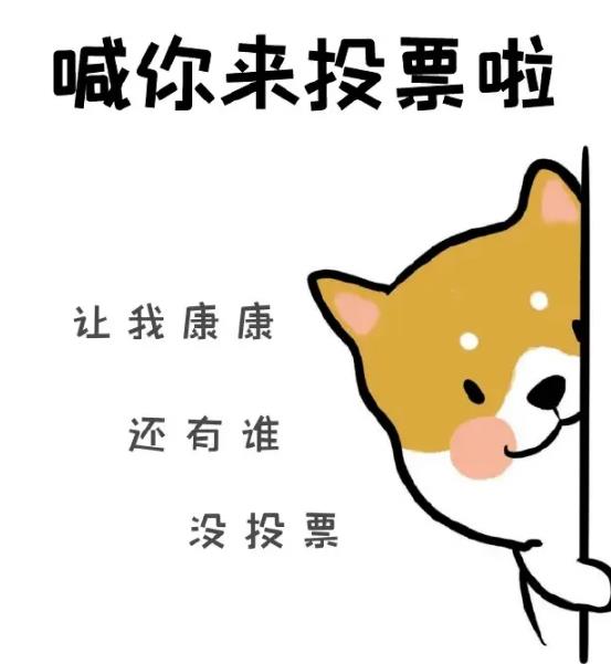 今天说说人工投票怎么收费,人工投票多少钱一票？
